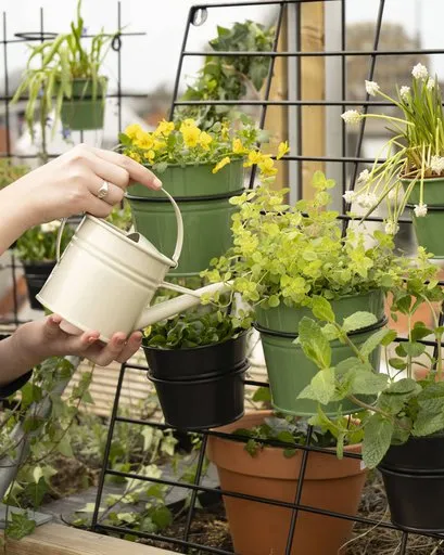 leukste moestuin cadeau idee