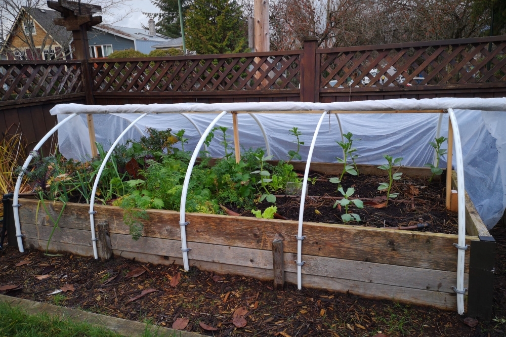 Moestuinieren in de winter<br />
