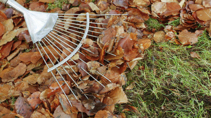 Winterklaar maken moestuin<br />
