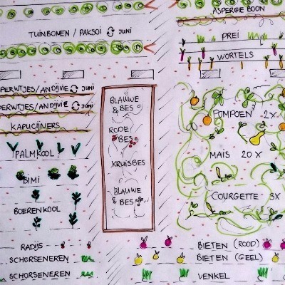 Zelf je moestuinplan maken