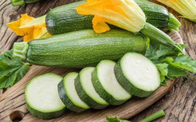 Courgette zaaien in je tuinkas