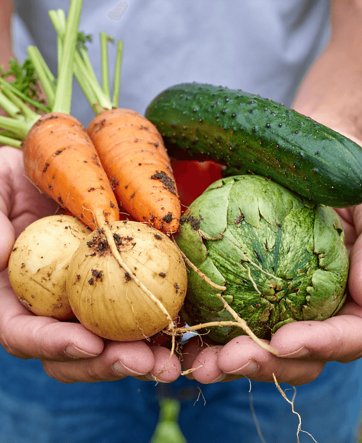 beginnersfouten moestuin