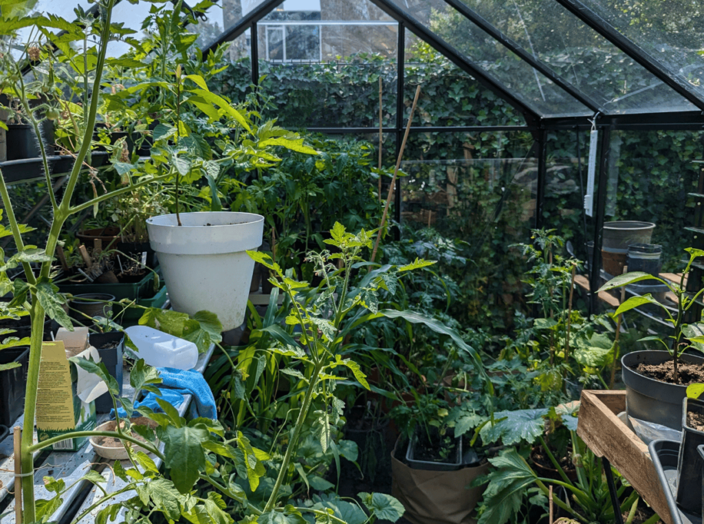 Dde tuinkas in de zomer