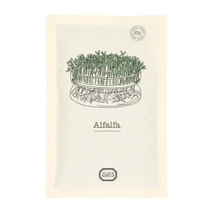 Alfalfa kiemgroenten zaden