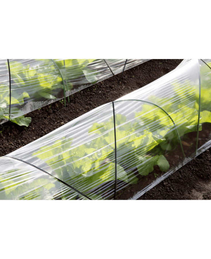 Kleine tunnelkas over sla heen