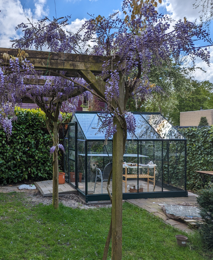 moestuin beginnen