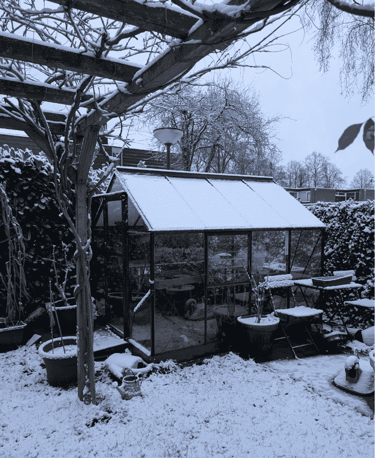Zaaien in december