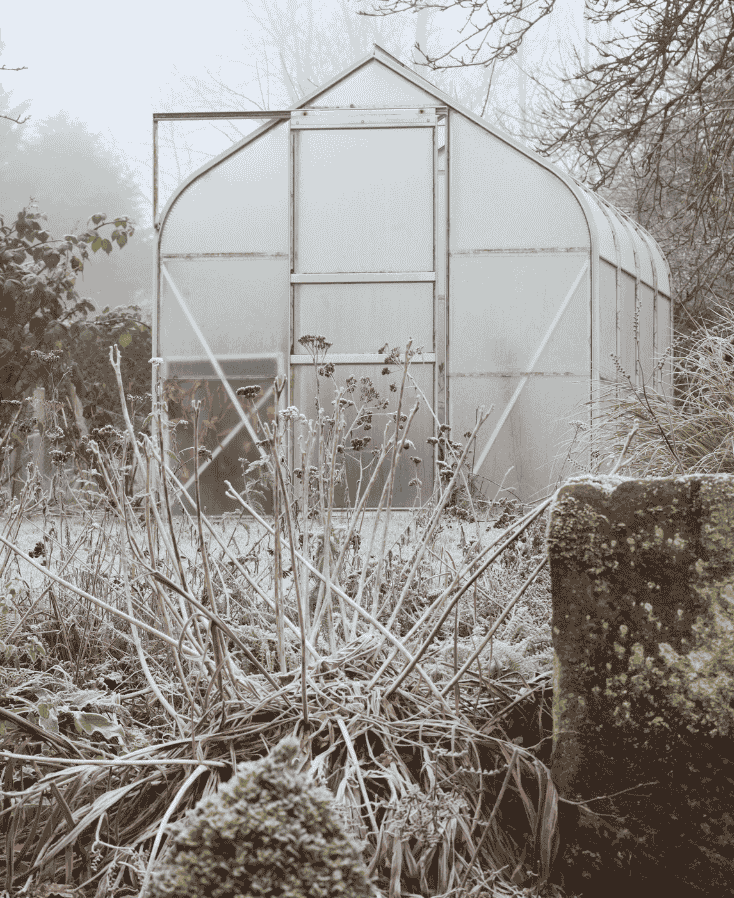 planten beschermen tegen vorst