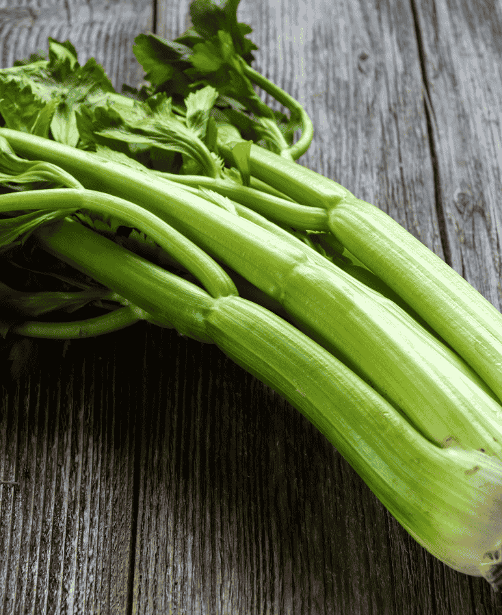 Bleekselderij zaaien