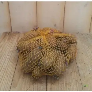 Pootaardappel Roseval