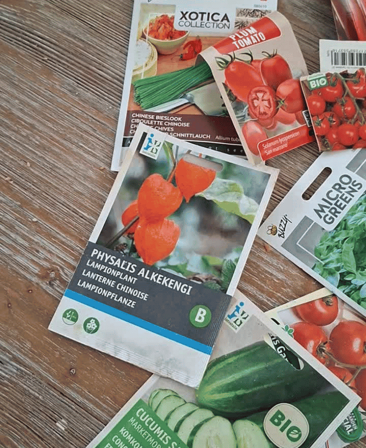 beste zaden voor beginners