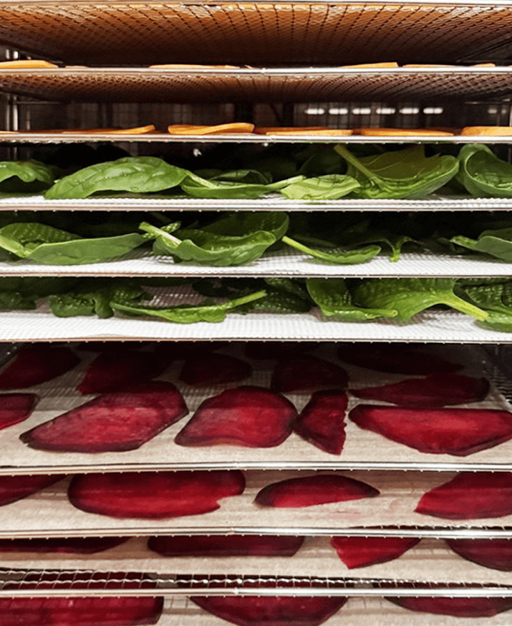 dehydrator gebruiken
